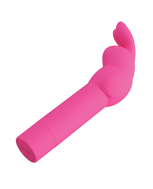 BI-300008-1 - BI-300008-1b