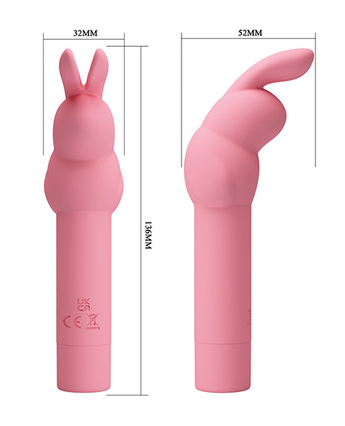 BI-300008 - BI-300008c