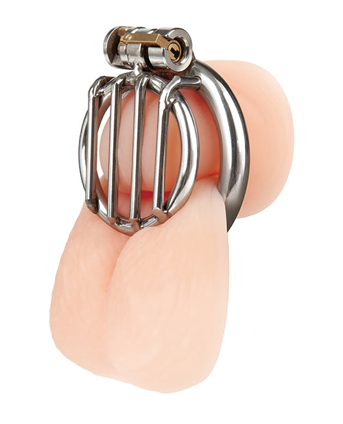 Stainless Steel Inverted Micro Jail Time Chastity Cage