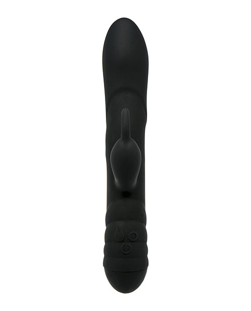 CNEX112-49 - CNEX112-49a