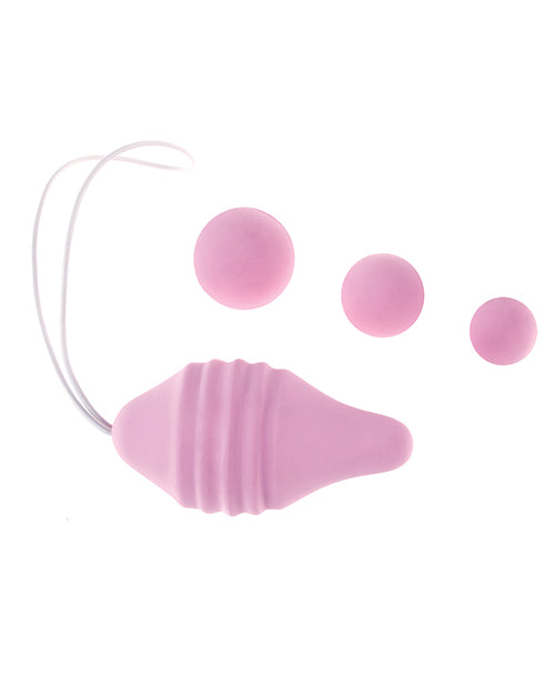 CNEX404-61 - CNEX404-61