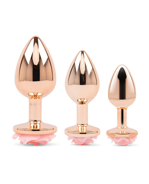 ELD-GEM-004 - ELD-GEM-004b