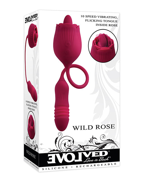 EN-RS-1225 - EN-RS-1225