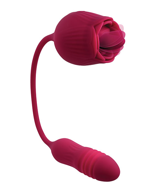 EN-RS-1225 - EN-RS-1225d