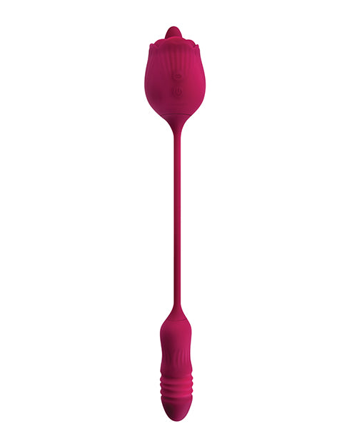 EN-RS-1225 - EN-RS-1225e