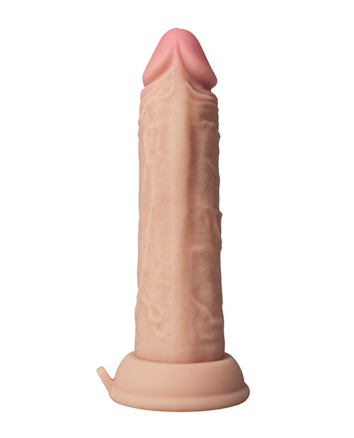 FE-SH-817-03 - FE-SH-817-03b