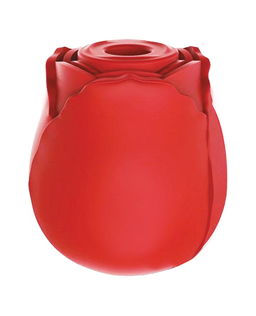 IBIC1700 - IBIC1700b