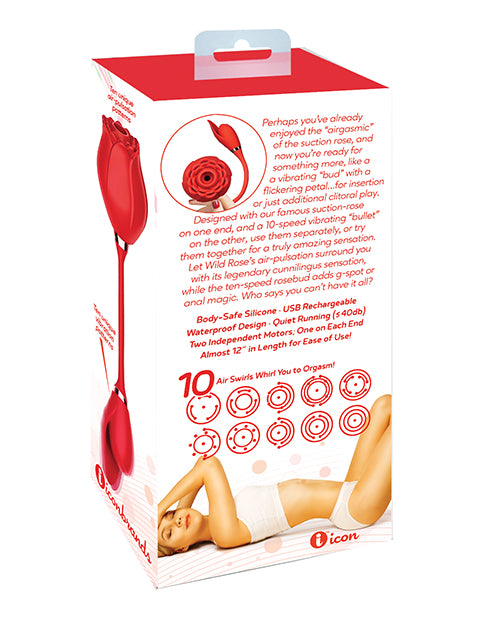 IBIC1703 - IBIC1703a