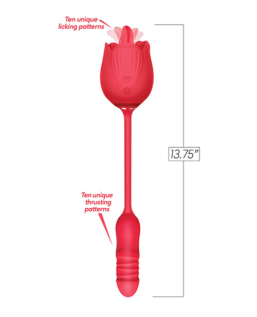 IBIC1708 - IBIC1708a