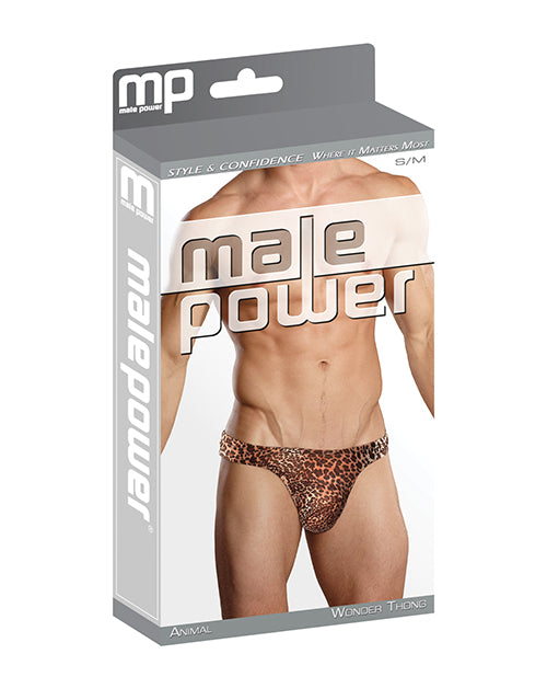 MP444-AN-SM - MP444-AN-SMc