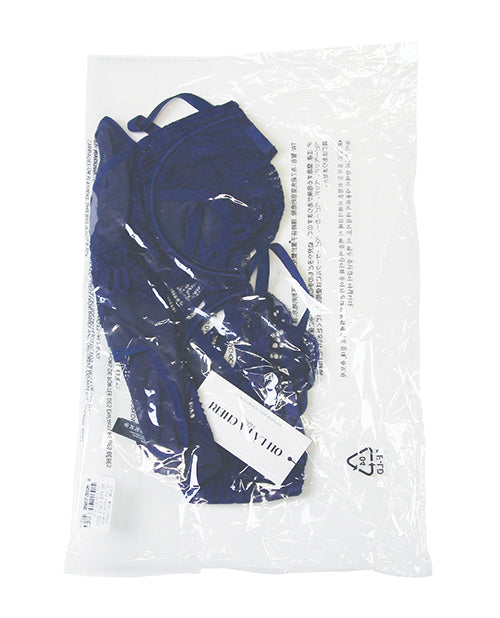 Roxie Mesh and Lace Underwire Teddy - Navy S/M