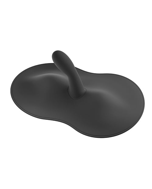 OR559989 - OR559989b