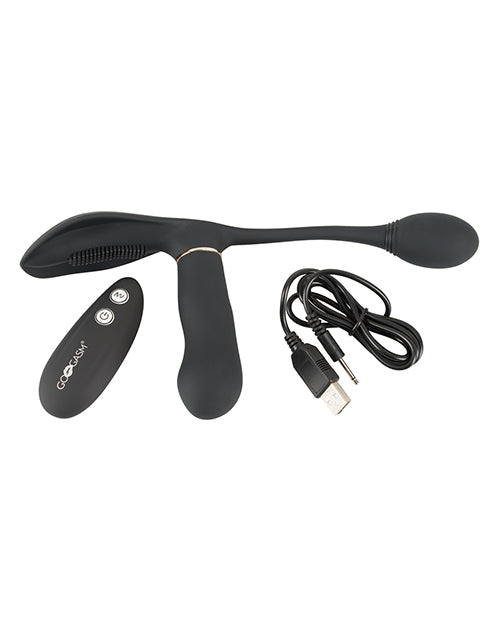 OR598178 - OR598178d