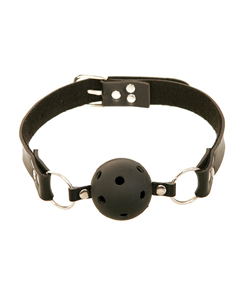 PD2172-00 - PD2172-00a