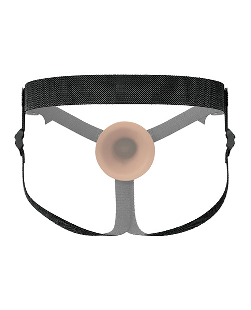 PD4165-29 - PD4165-29d