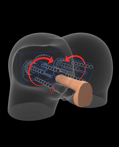 PDRD535-29 - PDRD535-29d