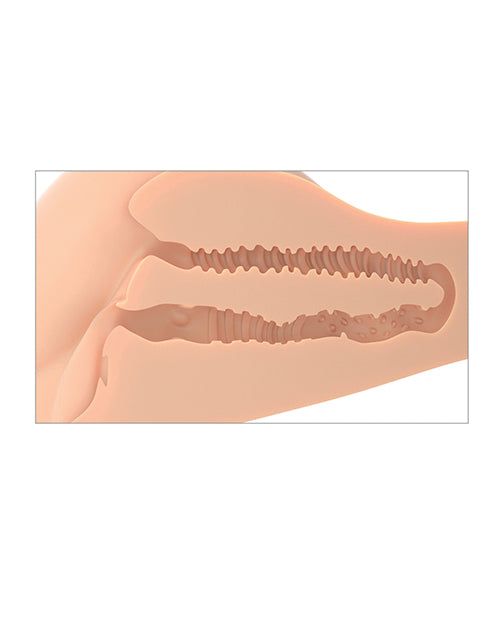 PDRD619-21 - PDRD619-21d