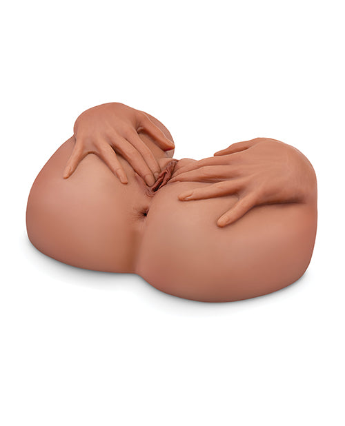 PDRD626-29 - PDRD626-29b