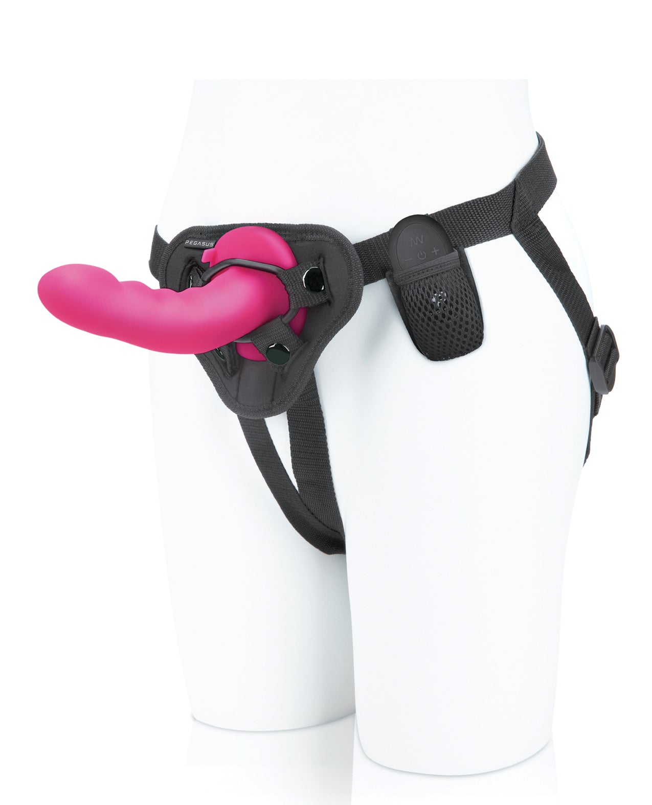 PEG-004 - PEG-004b