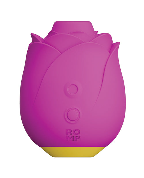 RP301SG4 - RP301SG4a