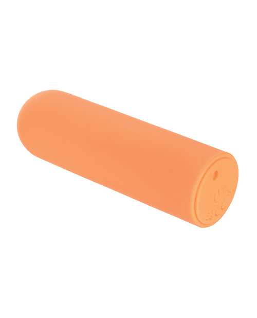 SE0061-41 - SE0061-41b