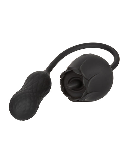 SE0608-70 - SE0608-70b