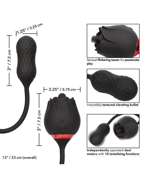 SE0608-70 - SE0608-70c