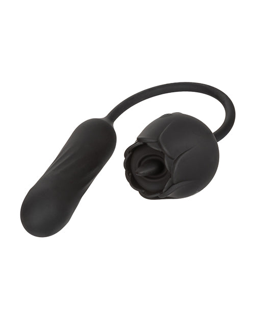 SE0608-75 - SE0608-75b