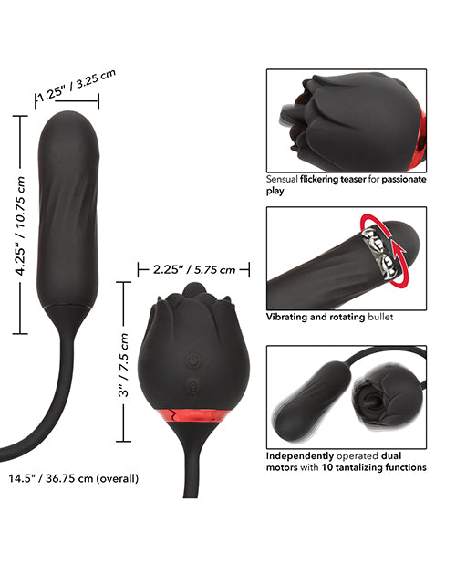 SE0608-75 - SE0608-75c