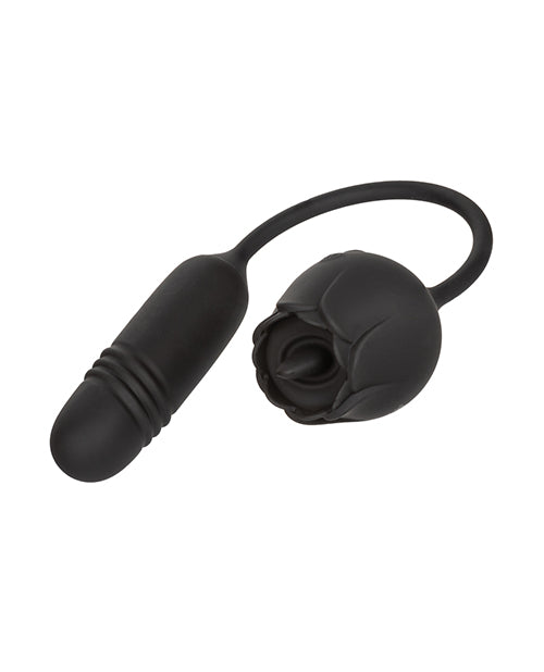 SE0608-80 - SE0608-80b