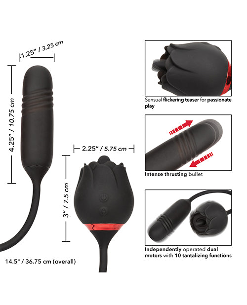 SE0608-80 - SE0608-80c