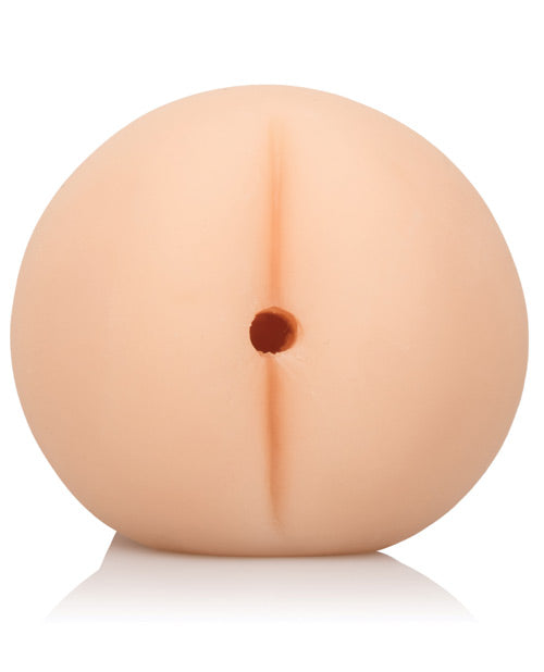 SE0883-20 - SE0883-20c