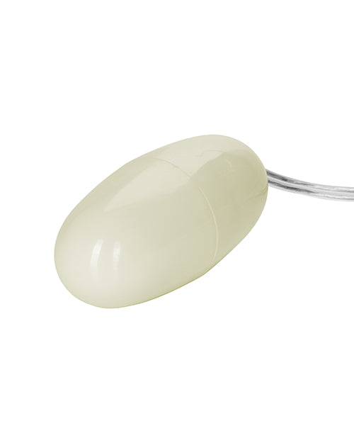 SE1101-10 - SE1101-10d