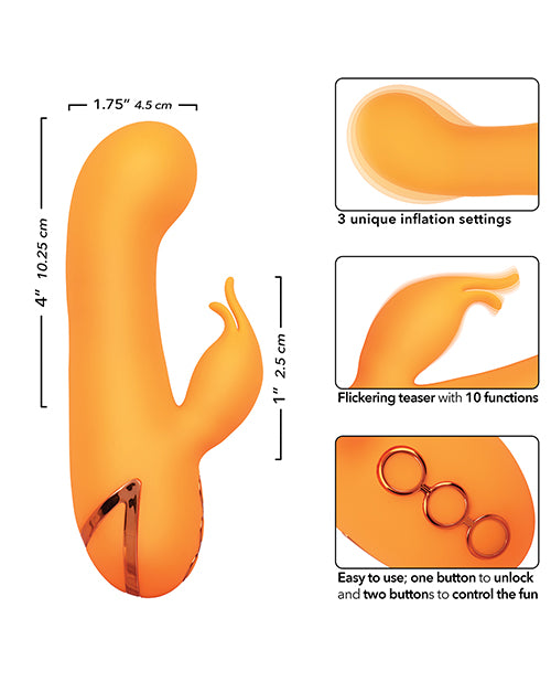 SE4349-35 - SE4349-35c