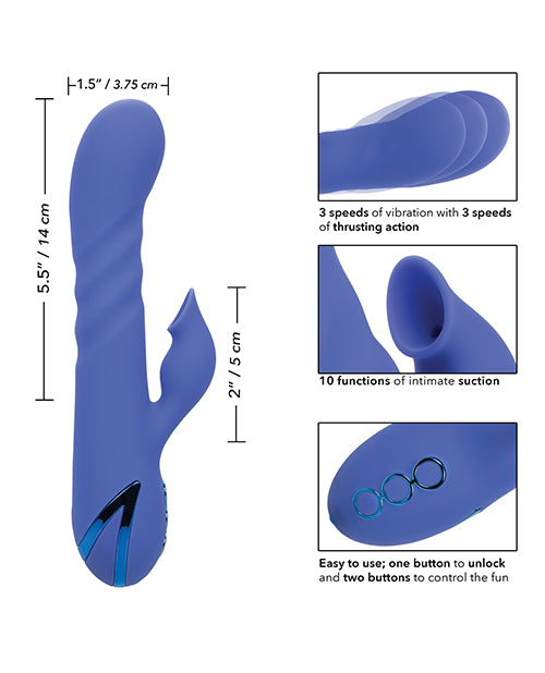 SE4351-12 - SE4351-12d