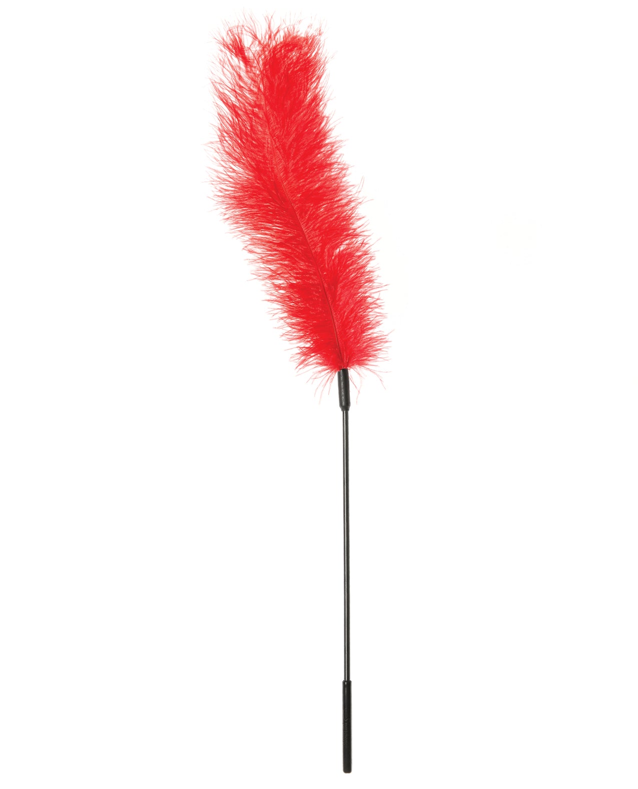 SS700-03 - SS700-03a