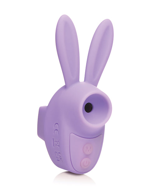 XRAH465-Purple - XRAH465-Purplea