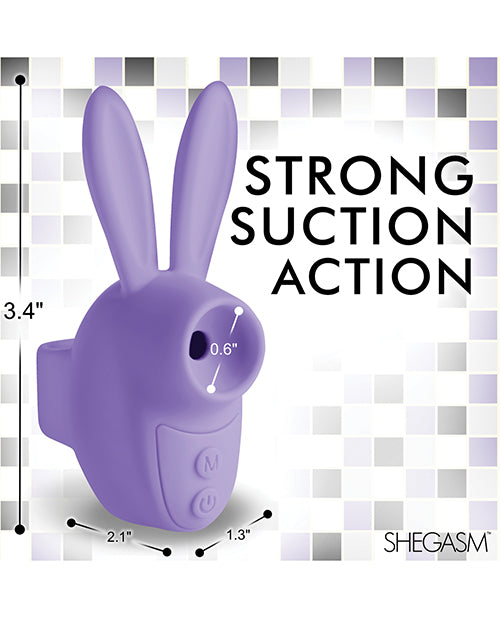 XRAH465-Purple - XRAH465-Purplee