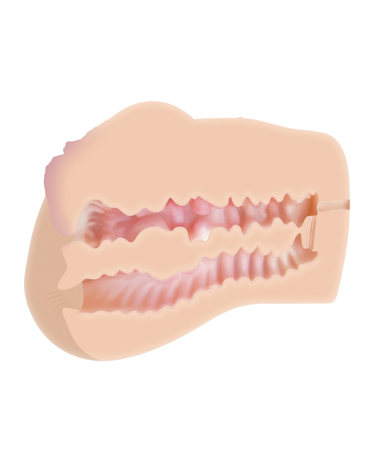 ZE-MS-6511 - ZE-MS-6511d