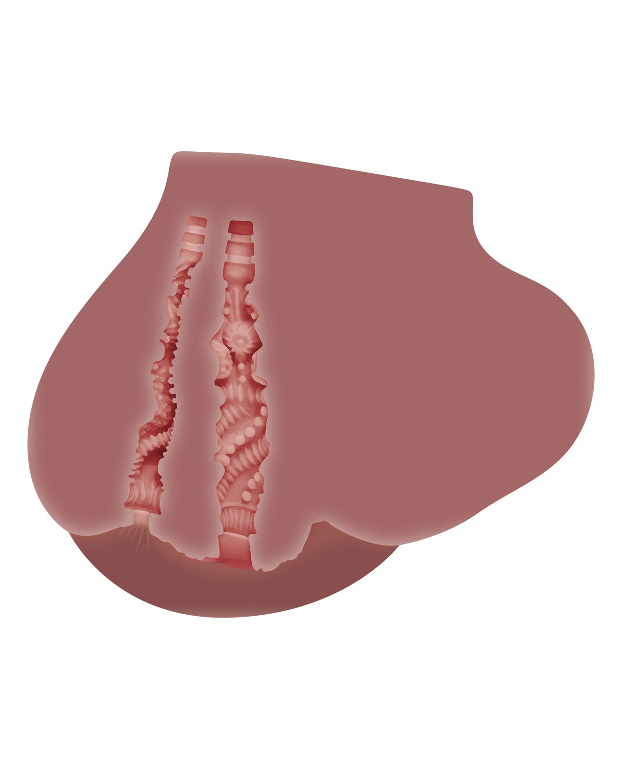 ZE-MS-7969 - ZE-MS-7969d