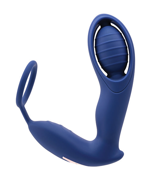 ZE-RS-1713 - ZE-RS-1713b